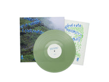 Courtney Barnett - End of the Day (Milky Clear Vinyl)
