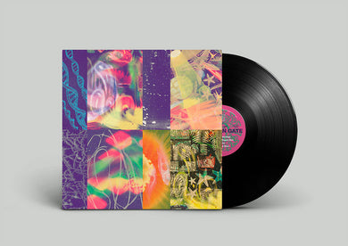 Nap Eyes – The Neon Gate (Vinyl)