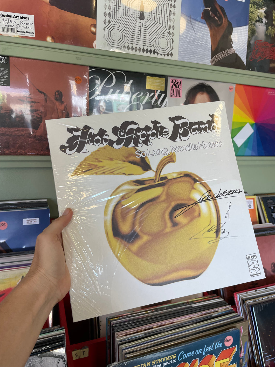Hot Apple Band - So Long, Noodle House (Black Vinyl) *SIGNED