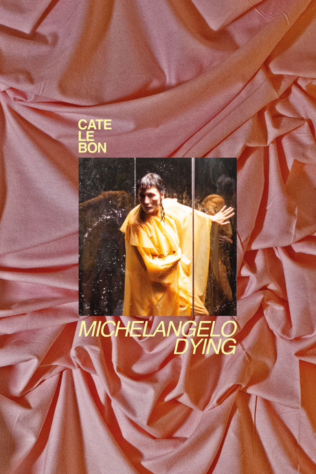 Cate Le Bon - Michaelangelo Is Dying