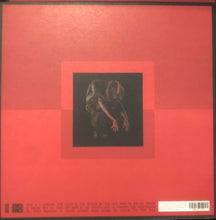 Copy of Genesis Owusu - Struggler (Indie Exclusive Clear Vinyl) (SIGNED COPY)