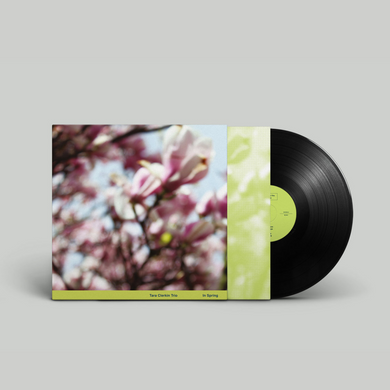 Tara Clerkin Trio - In Spring