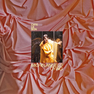 Cate Le Bon - Michaelangelo Is Dying