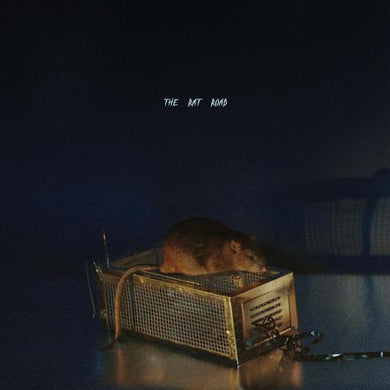 SBTRKT - THE RAT ROAD (2lp)