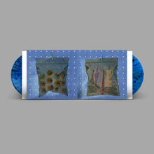 Black Country, New Road - Ants From Up There (Ltd. Indie Blue 2xLP)