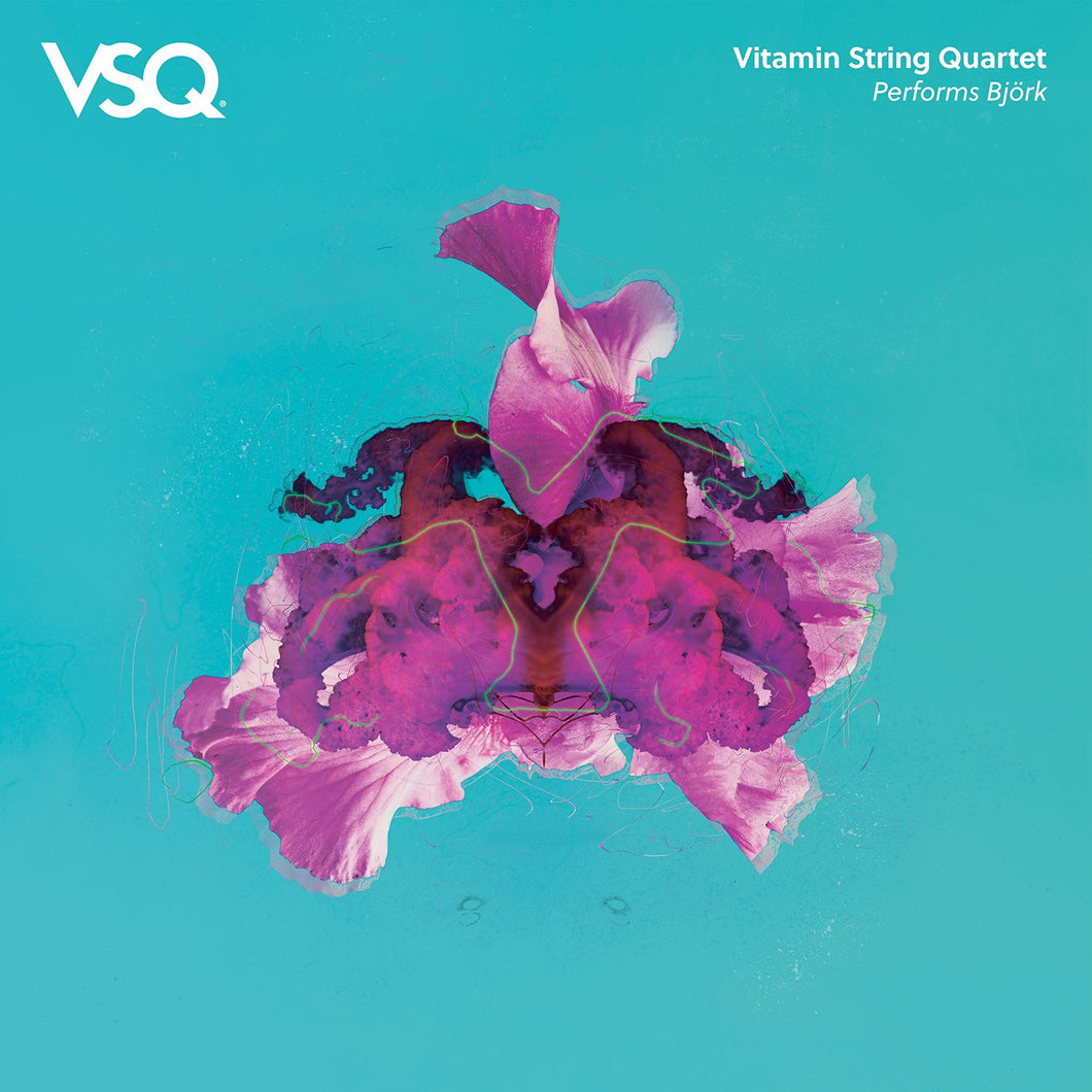 Vitamin String Quartet Performs Björk