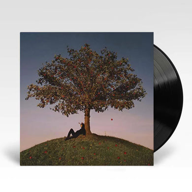 Slowthai - Tyron (Vinyl LP)