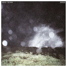 Mikal Cronin - Seeker (Vinyl)