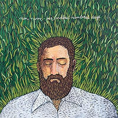 Iron & Wine - Our Endless Numbered Days (10th Anniversary Edition)