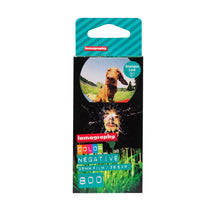 Lomography Colour Negative Film