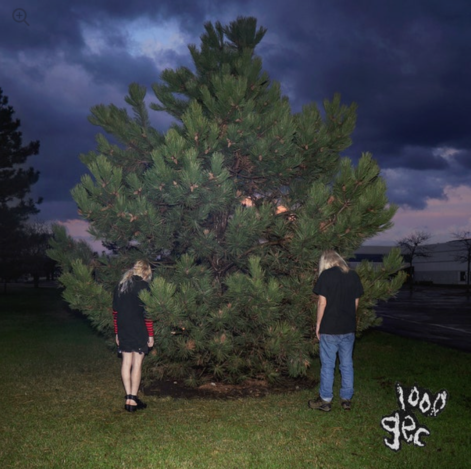 100 gecs - 1000 gecs and The Tree of Clues (Vinyl)