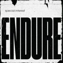 Special Interest - Endure (Indie Exclusive Yellow Coloured Vinyl) | 4/11