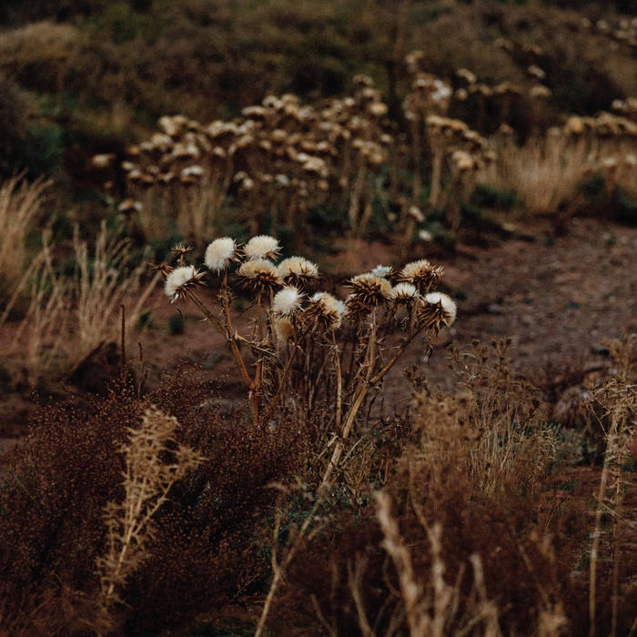 Shaolin Afronauts -The Fudamental Nature Of Being, Part Two (Vinyl LP)