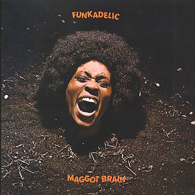 Funkadelic - Maggot Brain