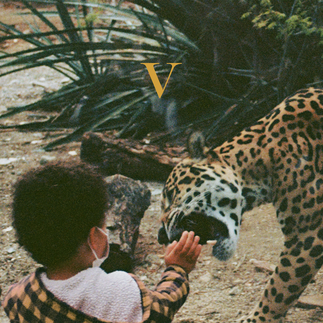 Unknown Mortal Orchestra - “V”