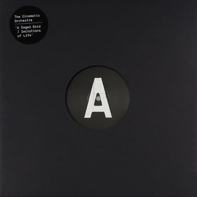 The Cinematic Orchestra - Caged Bird