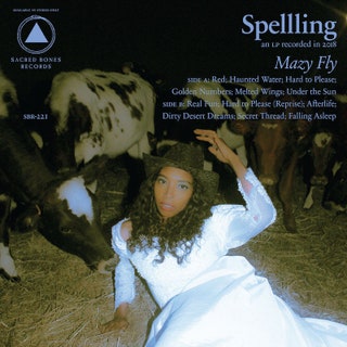 Spelling - Mazy Fly