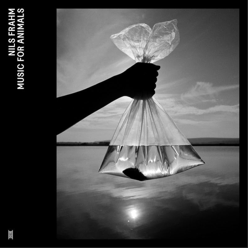 Nils Frahm - Music For Animals (4xLP Vinyl)